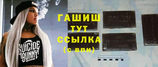 индика Корсаков