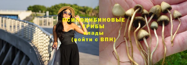 гашик Калининец