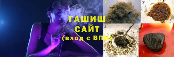 индика Корсаков