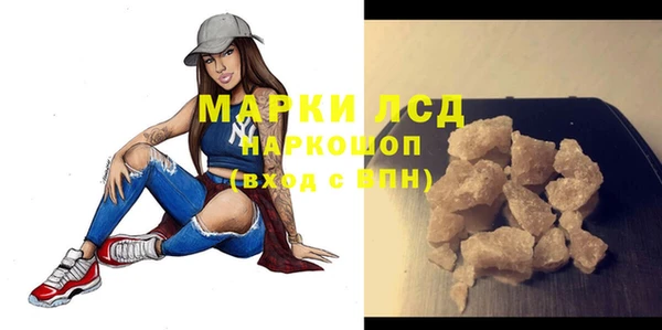 индика Корсаков