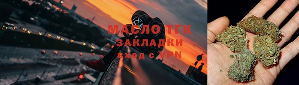 индика Корсаков