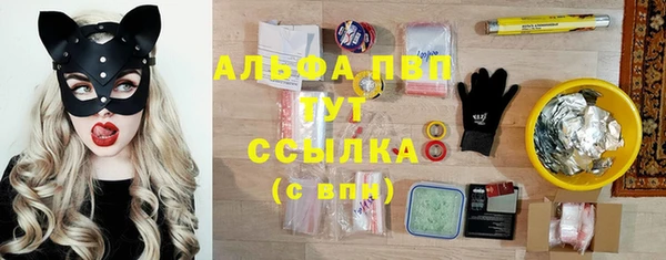 эйфоретик Нестеровская